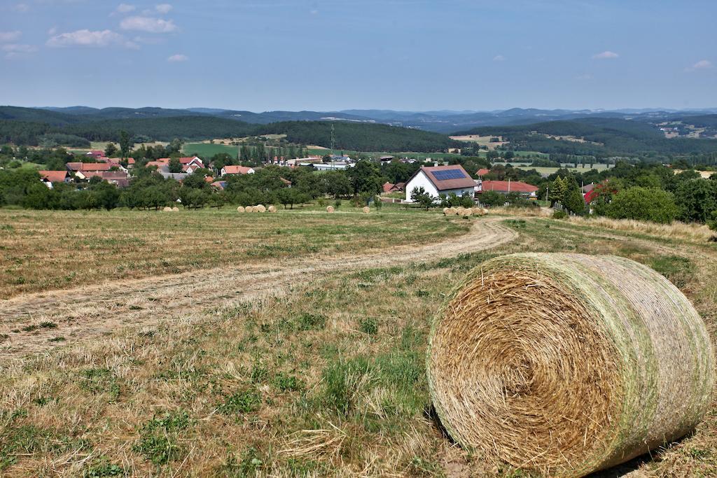 Pension Jezerna Zduchovice エクステリア 写真